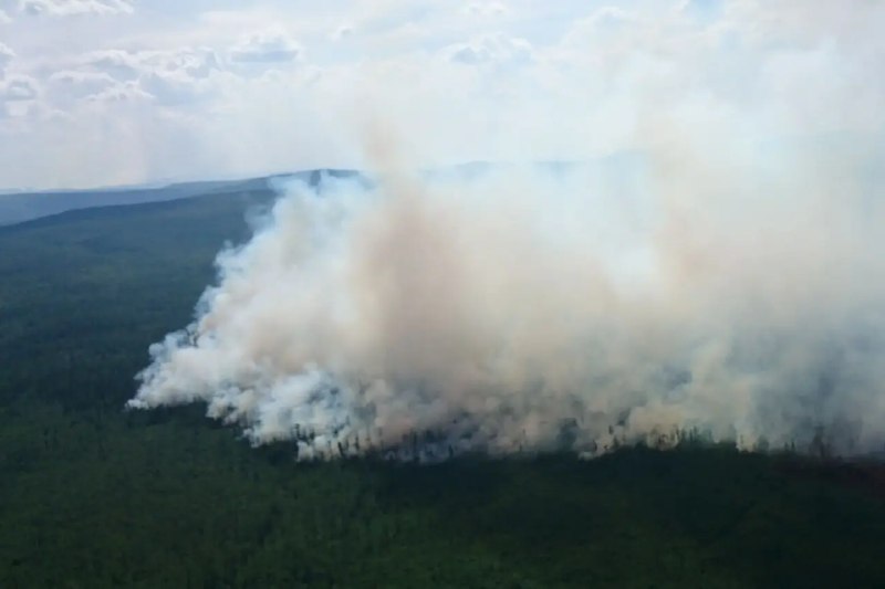 🌲 В Иркутской области потушили крупный лесной пожар в Катангском районе площадью почти 2,5 тысячи гектаров.