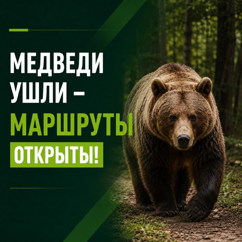 Медведи ушли — маршруты открыты!