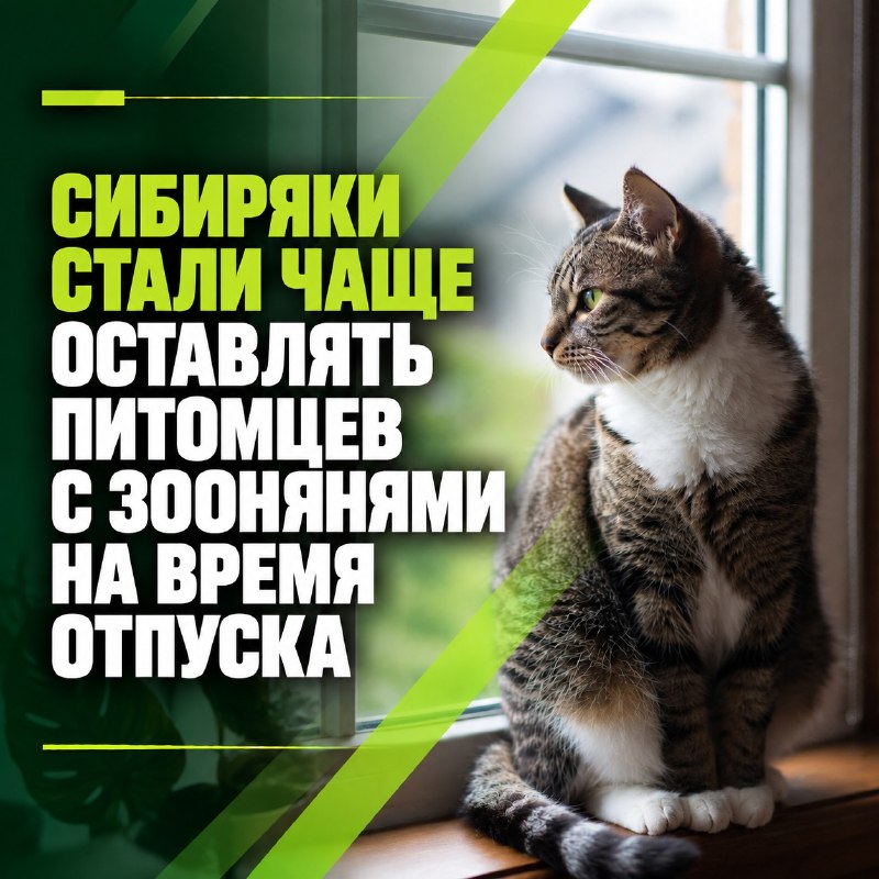 Сибиряки стали чаще оставлять питомцев с зоонянями на время отпуска